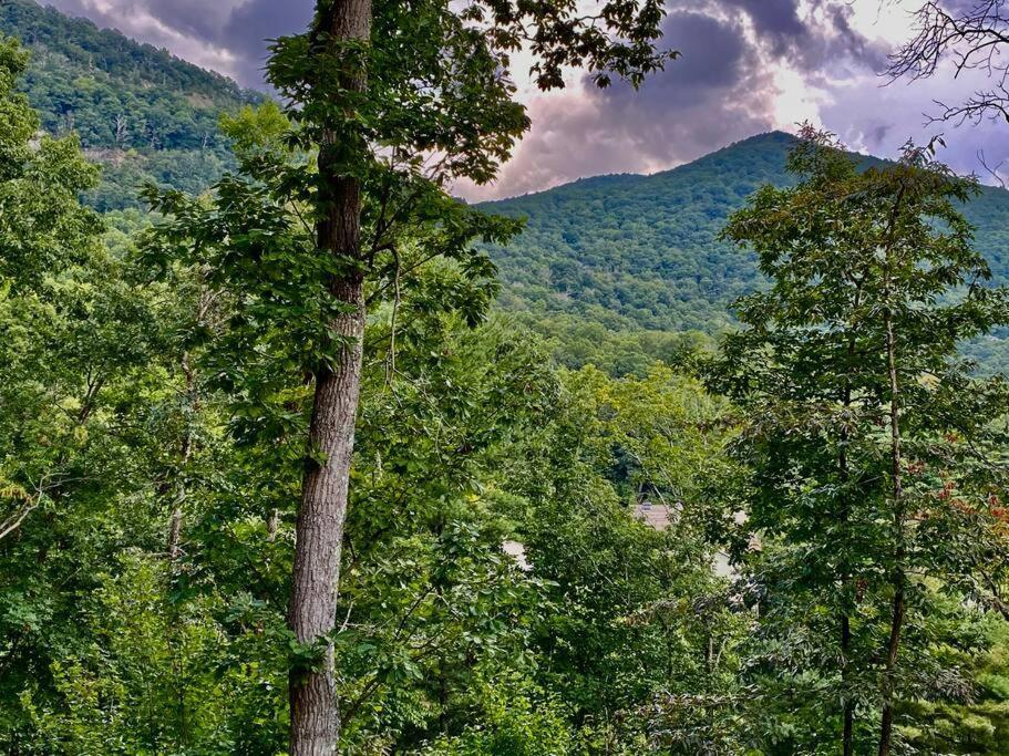Mountain Views, Hottub, Minutes To Downtown! Holiday home